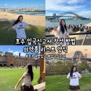 대성인터내셔널동물약품 | [호주/시드니] 호주 입국신고서 작성하기, 호주 의약품리스트 공유, 호주 입국심사 후기, 호주 여행 준비