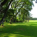 대구컨트리클럽 이미지