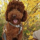 사랑샘의원 이미지