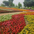 한강시민공원(파고라 쉼터) 이미지