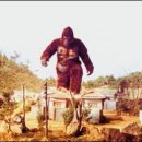 킹콩도너츠 네이버블로그