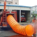 성내 양돈 이미지