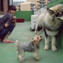 토리 이미지