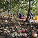 서후면행정복지센터 이미지