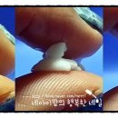 천양화학