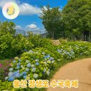 2025 장생포 수국축제 울산 고래문화마을 입장료 주차 6월 가볼만한