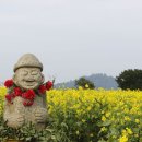 [(여행)] 제주 렌터카? 이제 필요없다! 버스로 뚝딱! 제주여행|▣-------- 여행 정보방 이미지