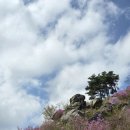 (초보등산) 진달래 가득한 왕방산 등산코스 _ 왕산사부터