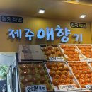 제주애향기