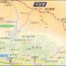 초원꽃조경
