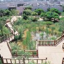 롯데쇼핑(주) 롯데백화점 일산점 이미지