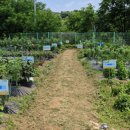 유성농장 5농장 이미지