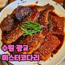 미스터코다리 이미지