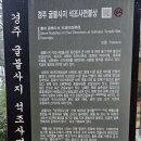 경주 굴불사지 석조사면불상(서면) 이미지