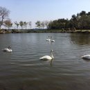 고니목장 이미지