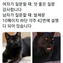 대구 수성구 동물병원 추천할게 이미지