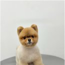 댕데이지 네이버블로그