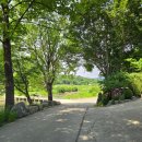 충주여행 후기 / 우림정원, 자연 속 힐링🌿