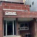 곰탱이커피 | 성신여대역 느좋신상카페추천 | CROP COFFEE 크롭커피 내돈내산 후기