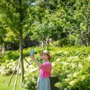 장원오리백숙 매생이국밥 | [밴드출사] 죽성성당 일출 ㅣ영천 우로지생태공원 맥문동 ㅣ영천 미세먼지차단숲 ㅣ경주황성공원 맥문동