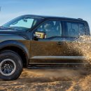 MOTOR KING | 포드 F-150 중고차 구입 시 참고사항