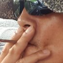 딜라일라 Daum카페