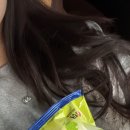 태평한 대평 이미지