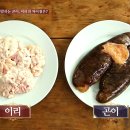 맛대구탕 티스토리