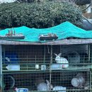 라온펜션 | 경주 가성비 펜션 : 라온펜션(은가비 / 솔직후기)