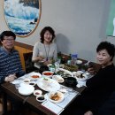 대풍참가자미회 - 9806 | 대풍참가자미회