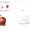 입체미술교육원