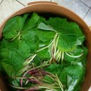 선운식당 이미지
