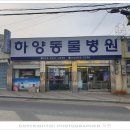 하양동물병원 네이버블로그