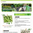 새뜸농장 | (두두언니와 함께하는 이벤트 후기) 들어는보셨나요? 작두콩차, 꾸지뽕차