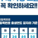 틴플레이