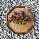 안만순농장 이미지