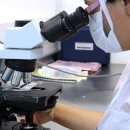 소격리농장 이미지