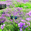 번암죽림정사로 네이버블로그