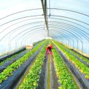 재성농장 이미지