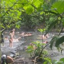 새(화산) 이미지