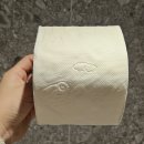 브라운도트 진하해수욕장점 | 울산 진하해수욕장 숙소 브라운도트호텔 내돈내산 후기