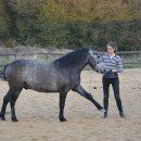 여름을 그리다 이미지