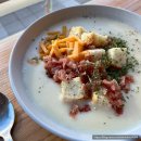 마곡역 브런치 카페 추천 더 숲(the soup) 내돈 내산 후기