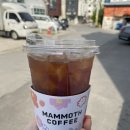 쭈쭈 아이스크림할인점