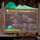 산골물굽이길 이미지