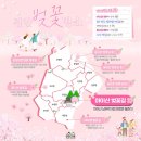 마이산 벚꽃길 네이버블로그