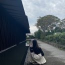 일본 후쿠오카 여행 가볼만한곳 I 유후인 코미코 미술관 COMICO ART MUSEUM YUFUIN
