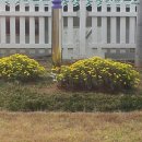 생극보건지소 이미지