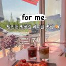 국가대표당진점 | 당진 신상 카페ㅣ4월 수제 베이글 맛집 FOR ME 포미 후기