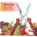 보인